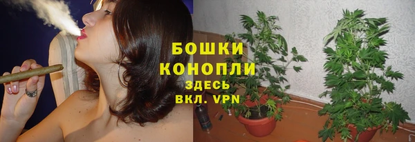 прущие крисы Бородино