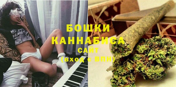 прущие крисы Бородино
