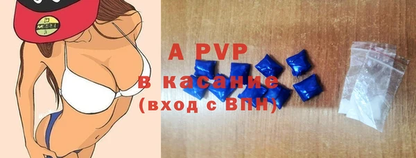прущие крисы Бородино