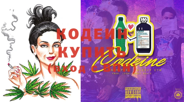 прущие крисы Бородино