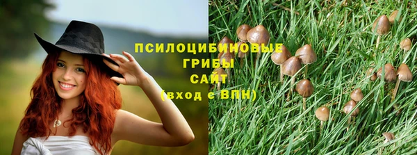 эйфоретик Бронницы