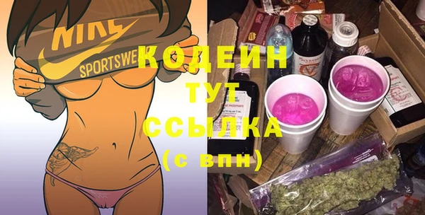 прущие крисы Бородино