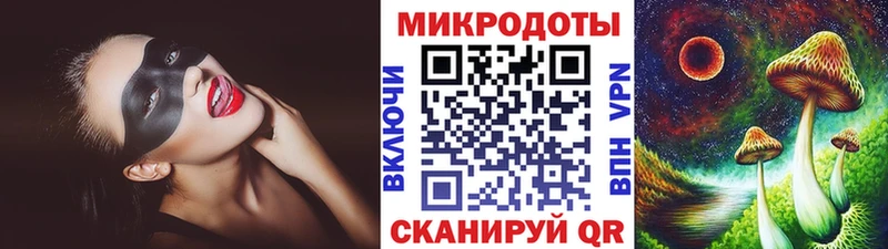 закладка  гидра ссылка  Псилоцибиновые грибы ЛСД  Городовиковск 